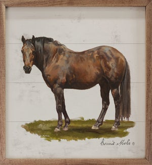Horse On Grass By Bonnie Mohr